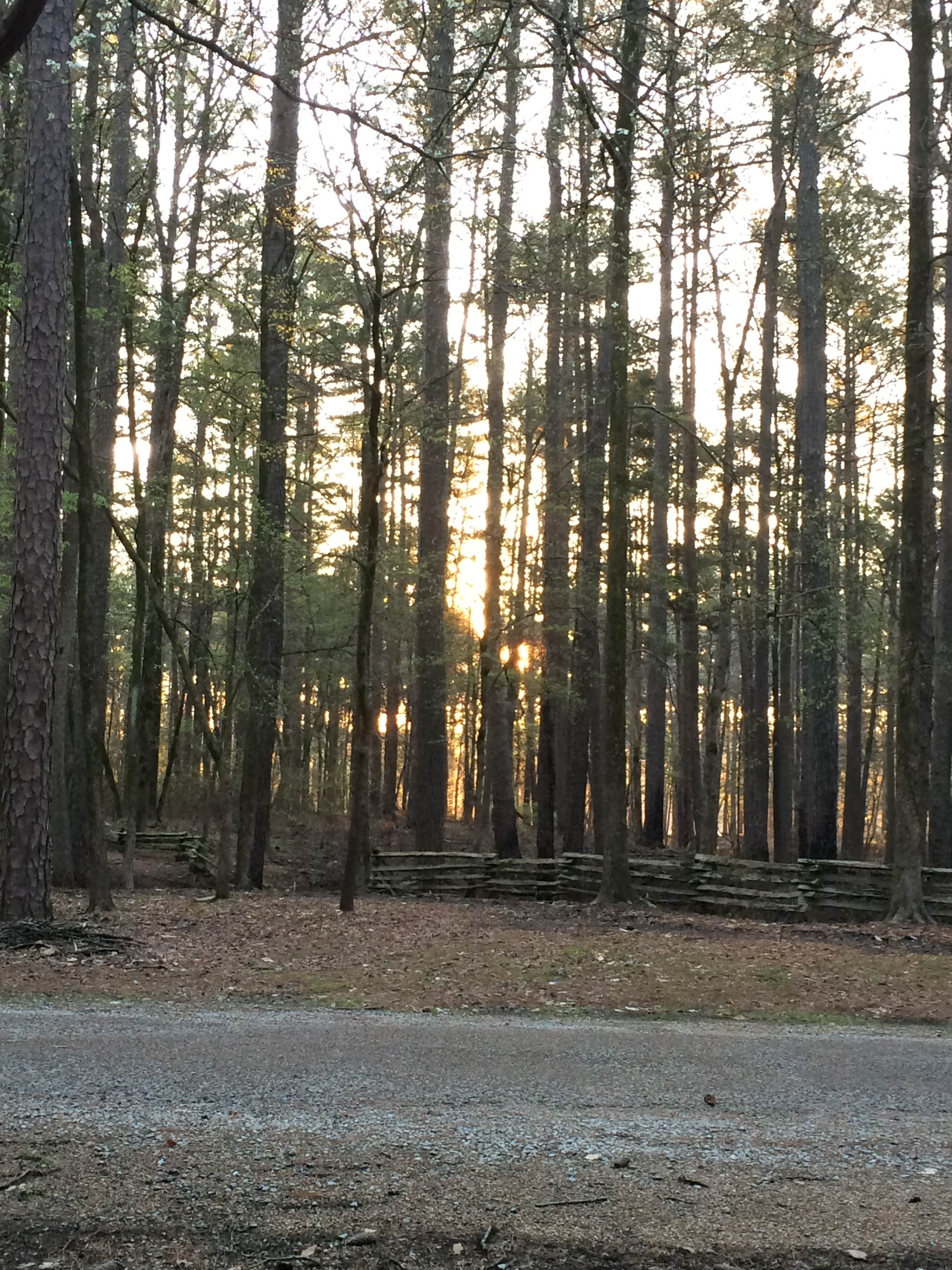 Camper submitted image from Wall Doxey State Park Campground - 2