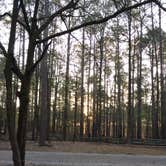 Review photo of Wall Doxey State Park Campground by Noah Johnathon M., September 2, 2016