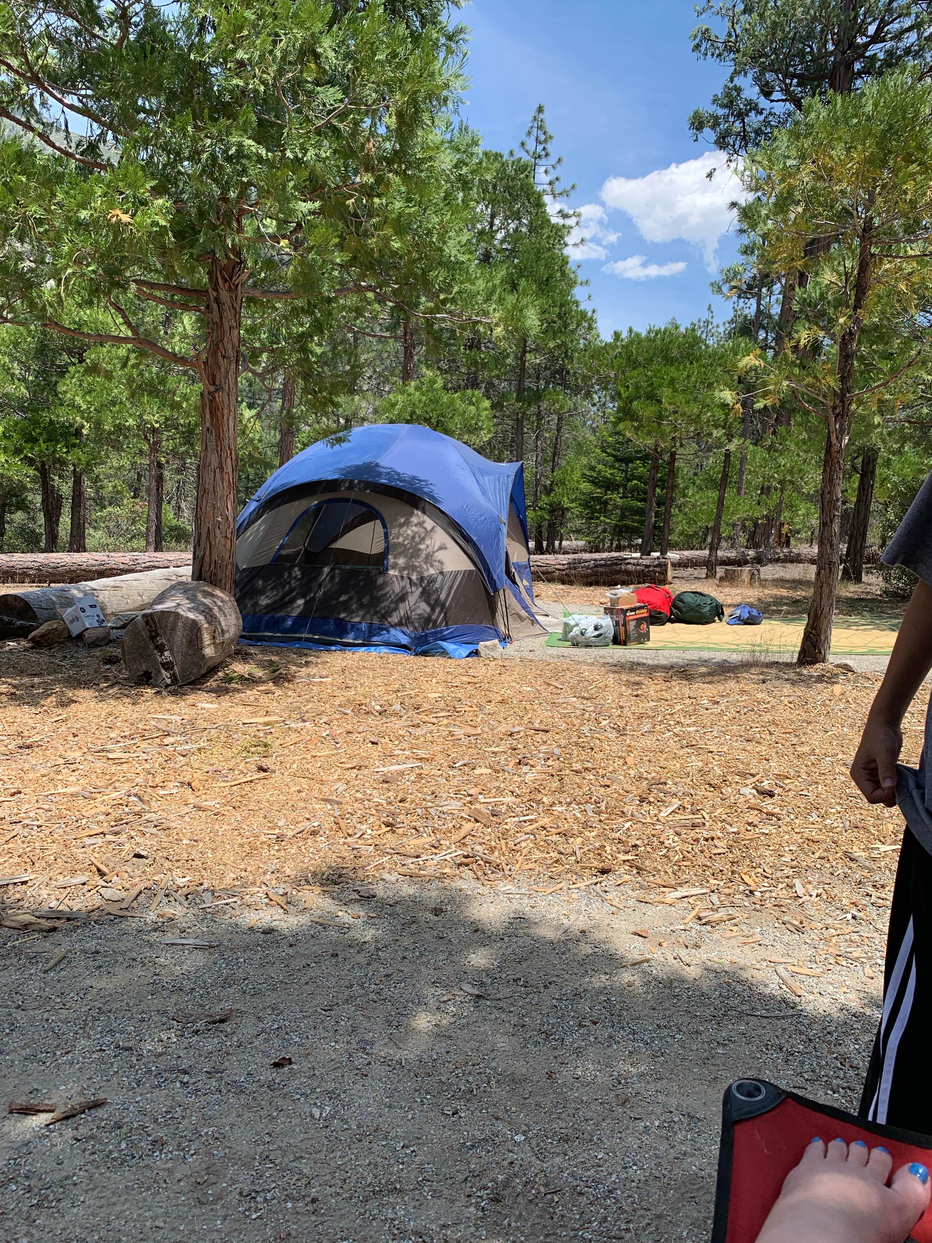 Michelle  H.'s photo of tent camping at Canyon View Group Sites — Kings Canyon National Park near Independence, CA