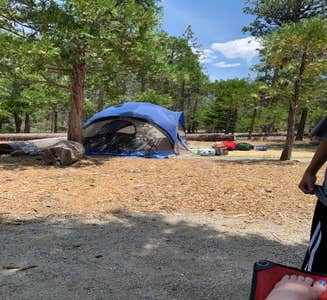 Camper-submitted photo from Canyon View Group Sites — Kings Canyon National Park