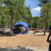 Review photo of Canyon View Group Sites — Kings Canyon National Park by Michelle  H., June 24, 2019
