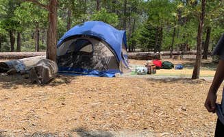 Michelle  H.'s photo at Canyon View Group Sites — Kings Canyon National Park near Sequoia & Kings Canyon National Parks