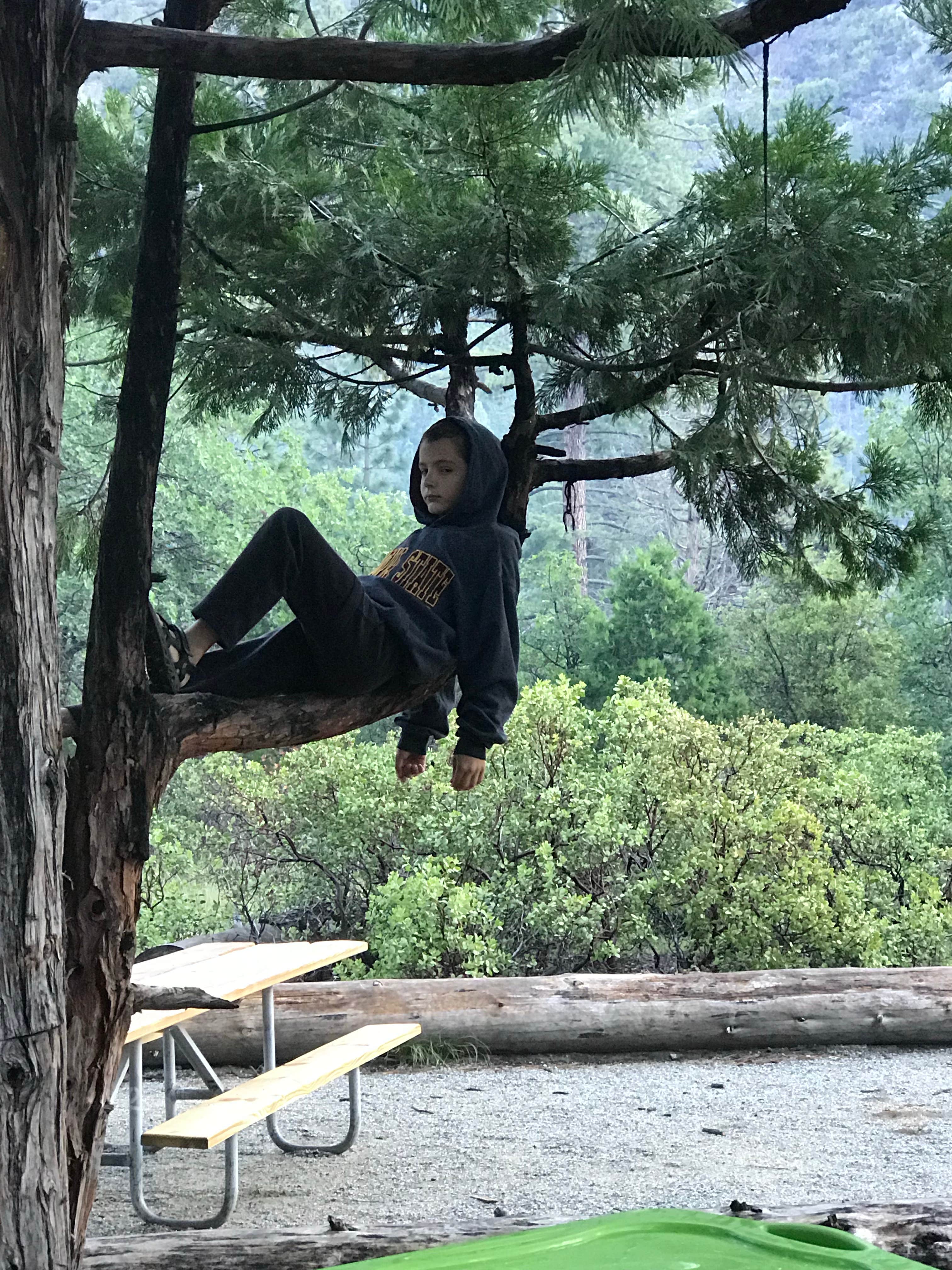 Camper-submitted photo at Canyon View Group Sites — Kings Canyon National Park near Independence, CA