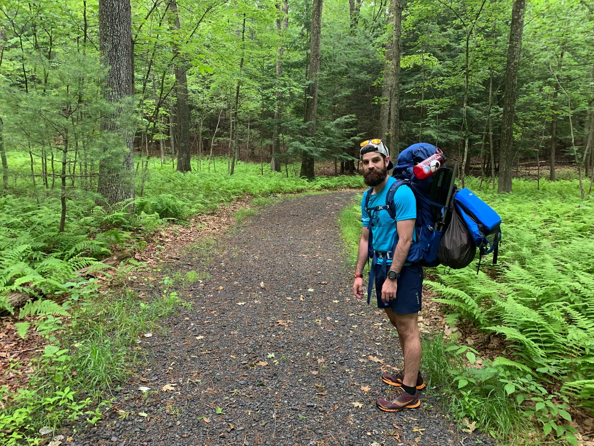 Camper-submitted photo at Namanock Island — Delaware Water Gap National Recreation Area near Tobyhanna, PA