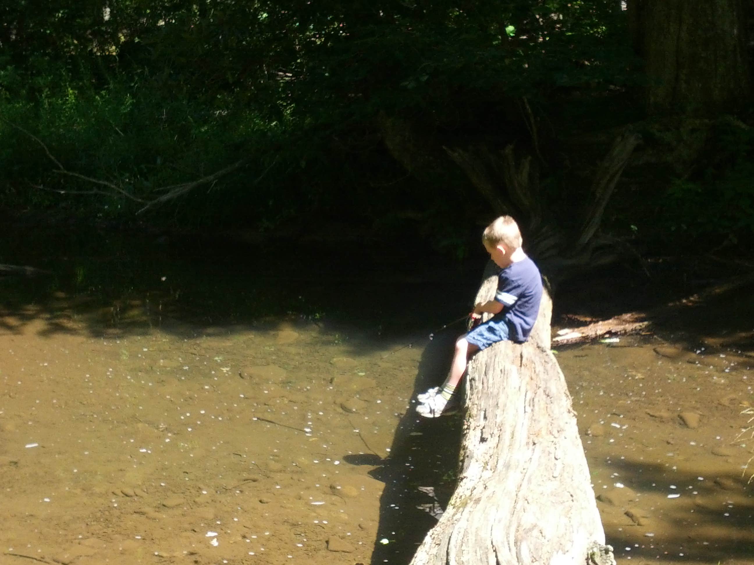 Camper submitted image from Cranberry Campground - 4