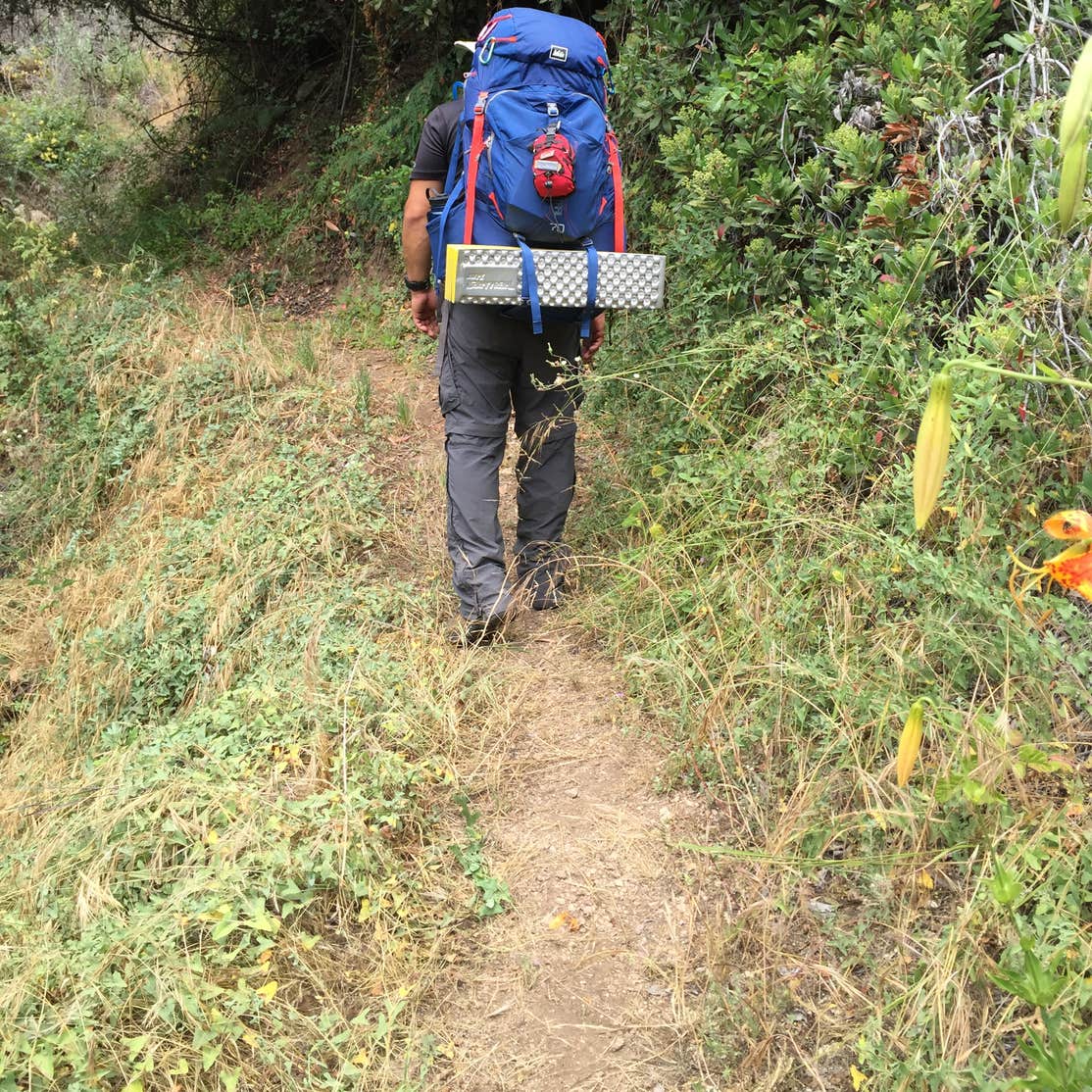 Henninger Flat Camping The Dyrt