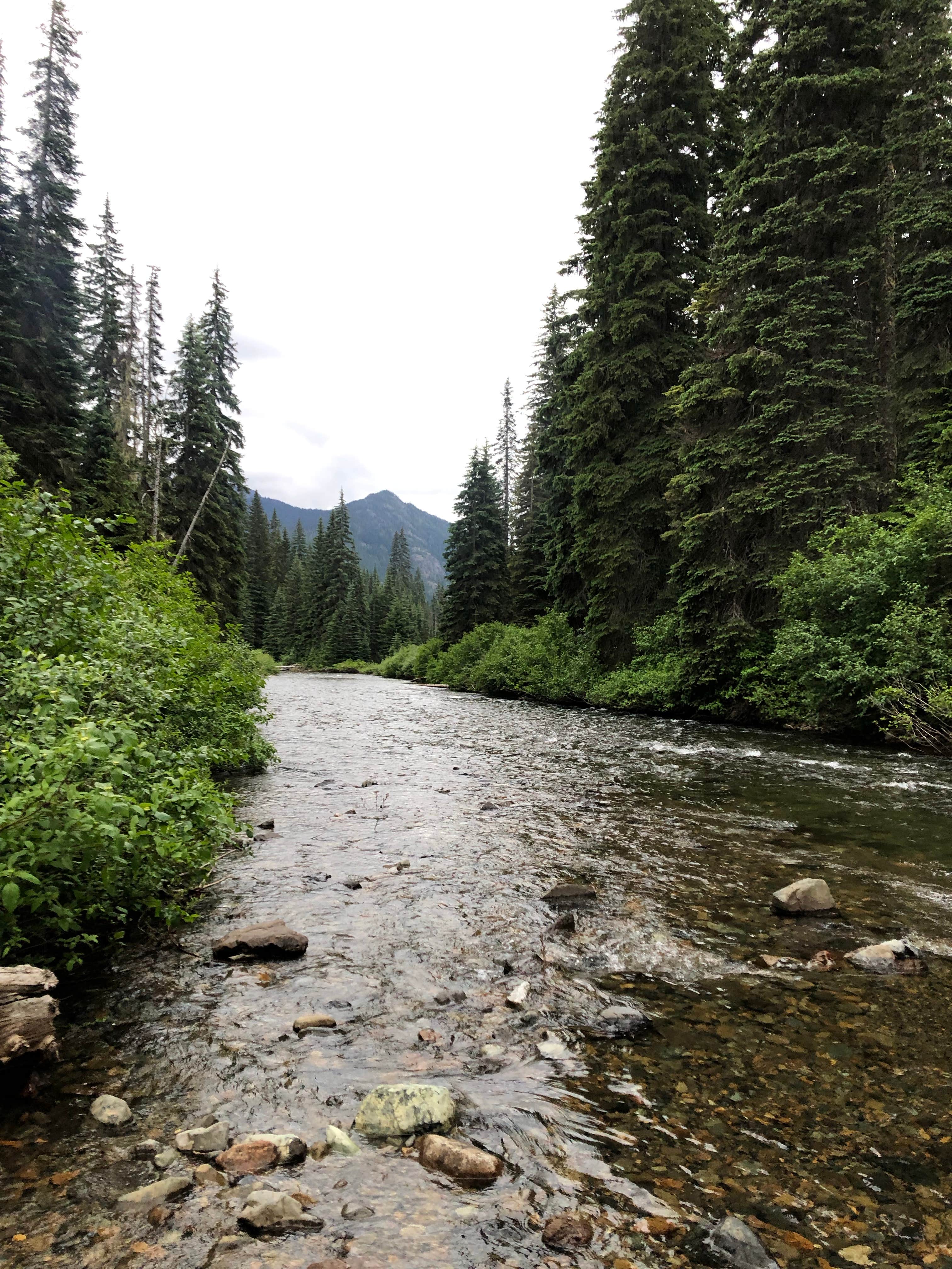Nature