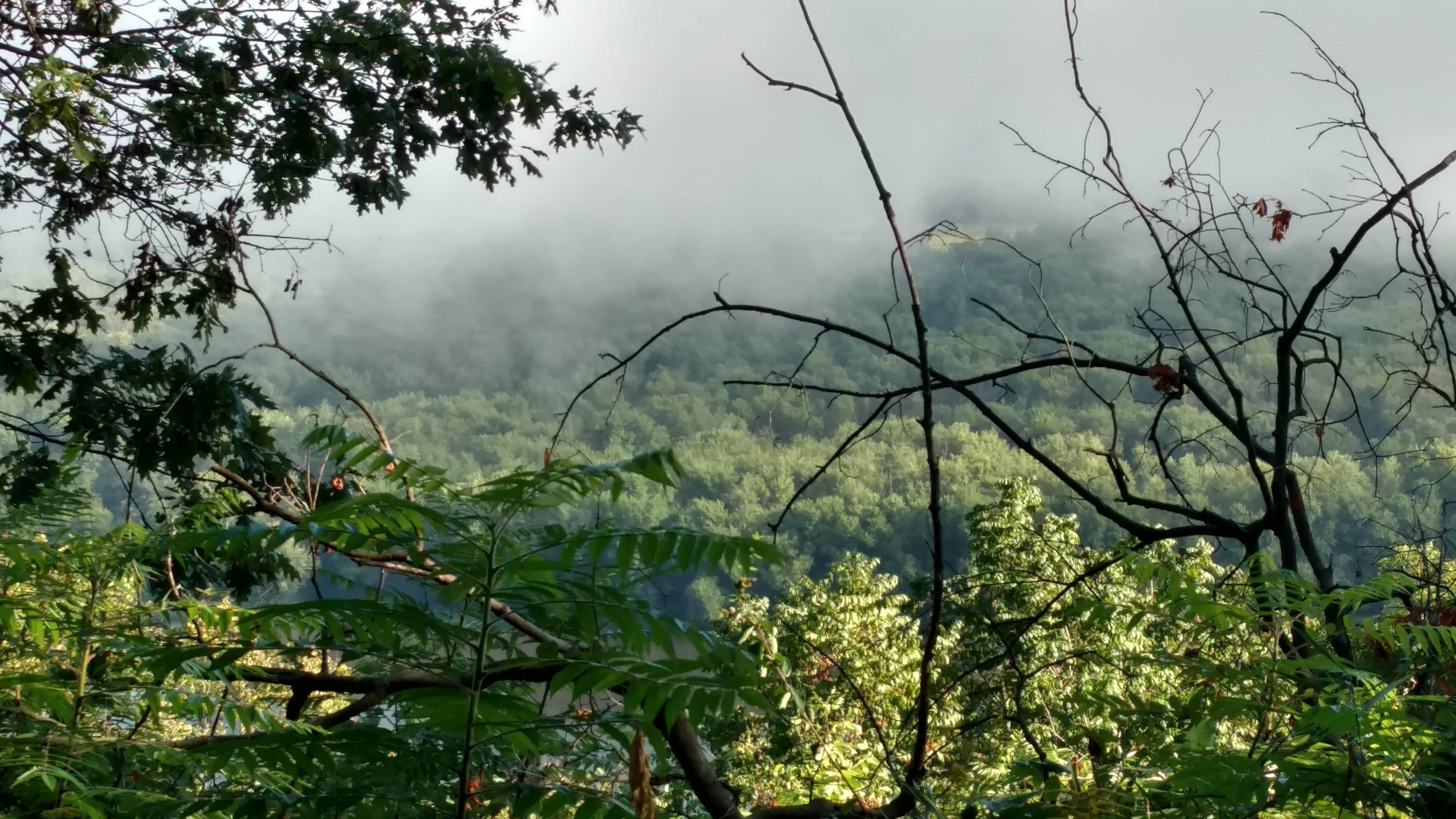 Camper submitted image from Wyalusing State Park Campground - 2