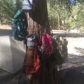 Review photo of Cooper Canyon Trail Campground by Tony  C., June 24, 2019