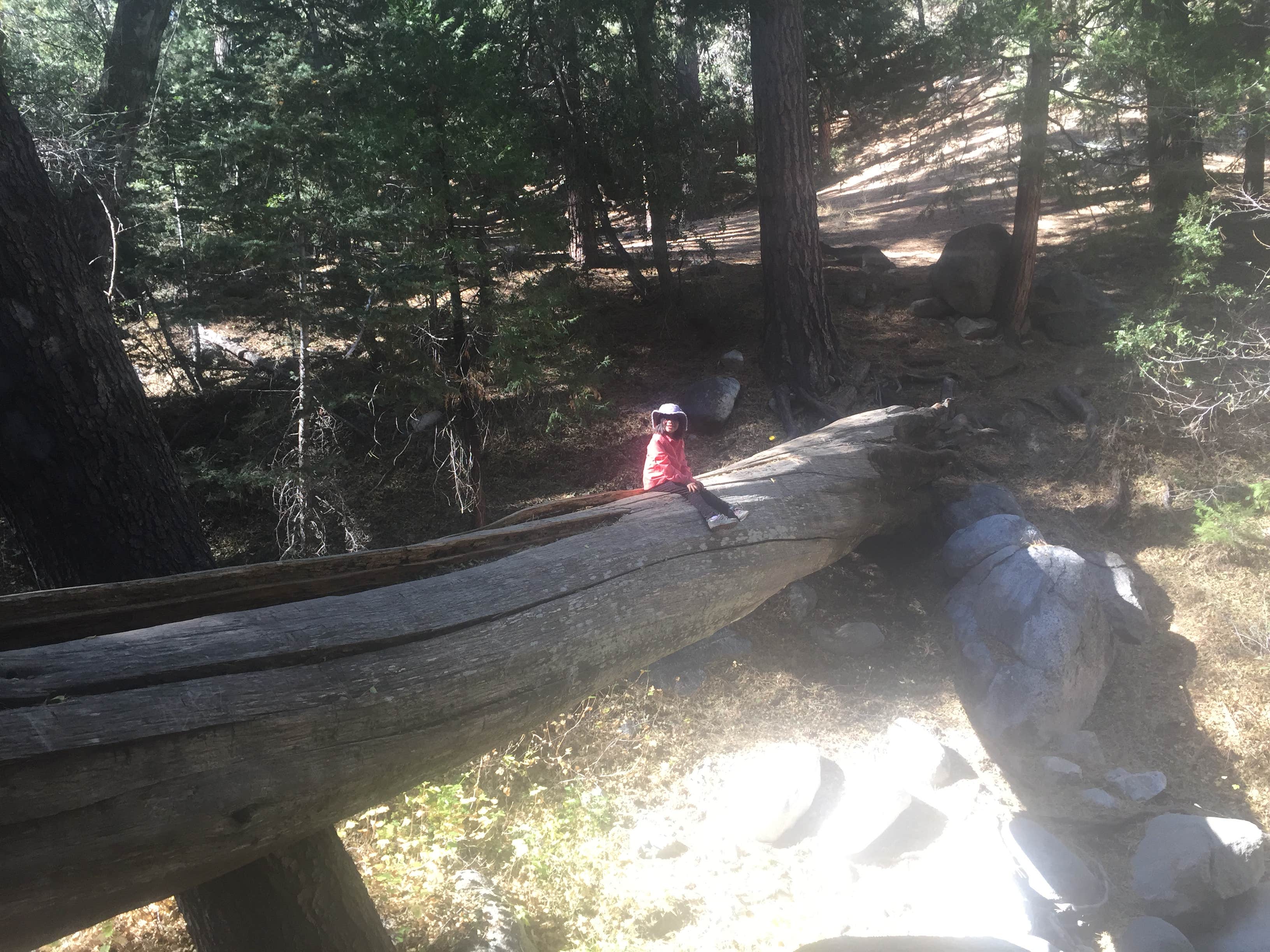 Camper-submitted photo at Cooper Canyon Trail Campground near Lancaster, CA