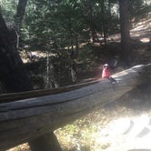 Review photo of Cooper Canyon Trail Campground by Tony  C., June 24, 2019