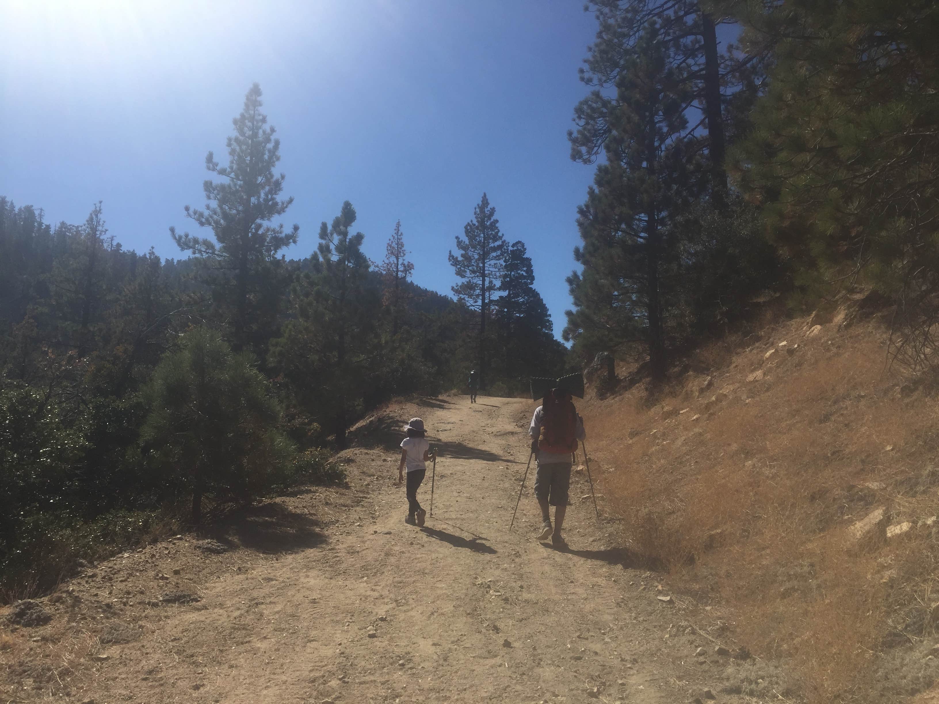 Camper submitted image from Cooper Canyon Trail Campground - 4