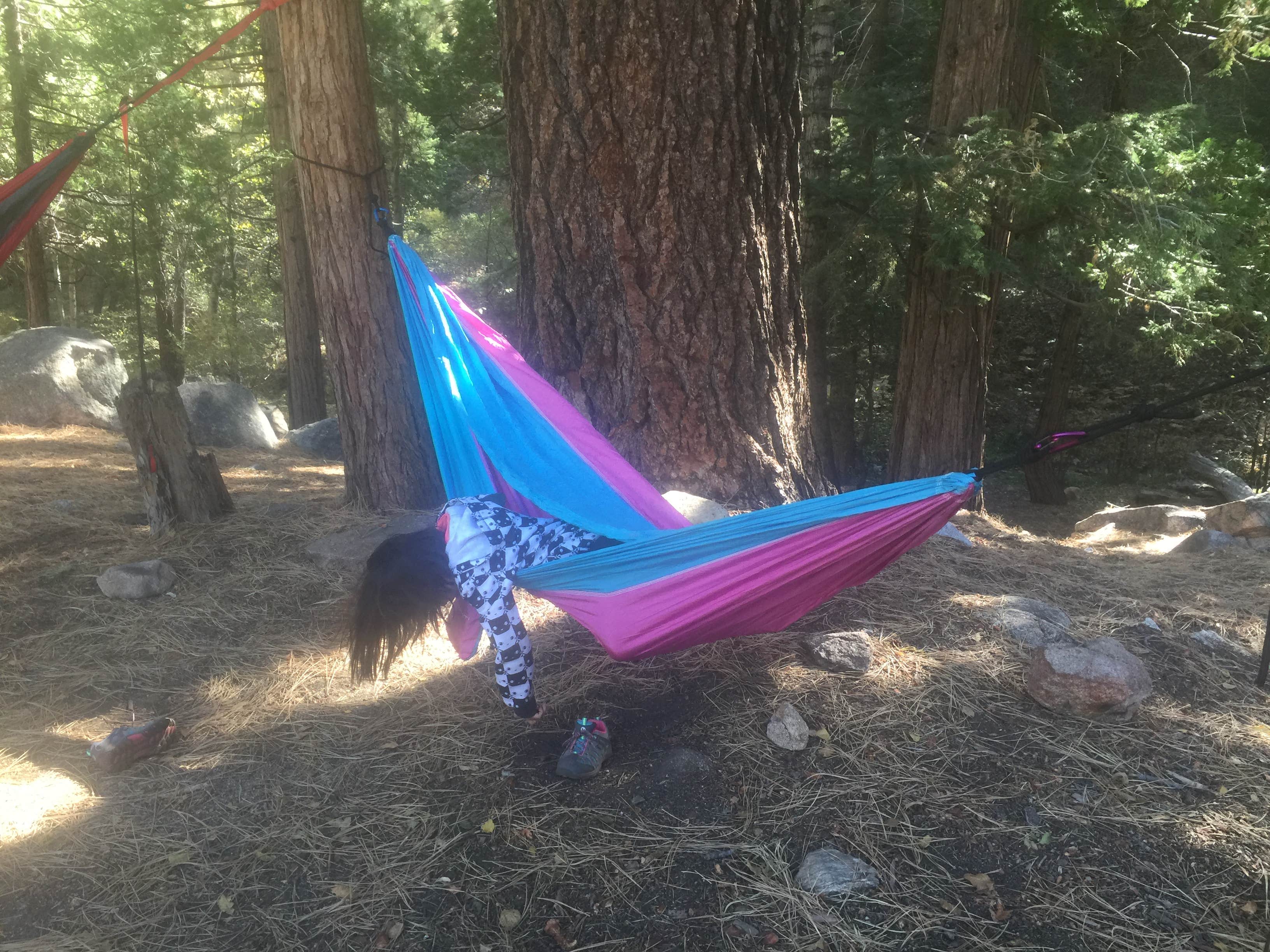 Camper-submitted photo at Cooper Canyon Trail Campground near Lancaster, CA
