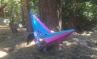 Tony C.'s photo of tent camping at Cooper Canyon Trail Campground near La Cañada Flintridge, CA