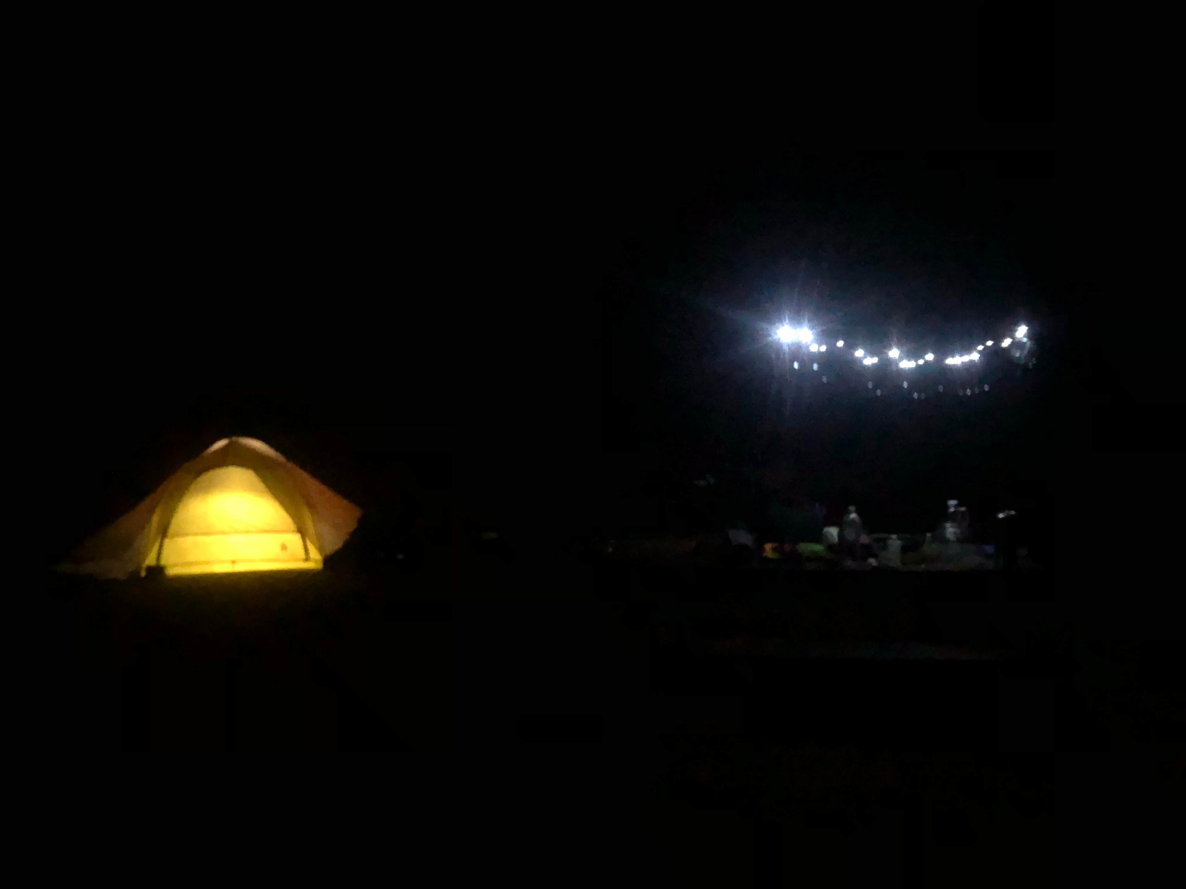 Tony  C.'s photo at Cooper Canyon Trail Campground near Juniper Hills, CA