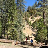 Review photo of Cooper Canyon Trail Campground by Tony  C., June 24, 2019