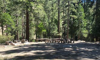 Camping near Chilao Campground: Cooper Canyon Trail Campground, Juniper Hills, California