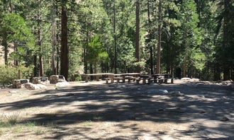 Camping near Crystal Lake Rec Area Campground: Cooper Canyon Trail Campground, Juniper Hills, California