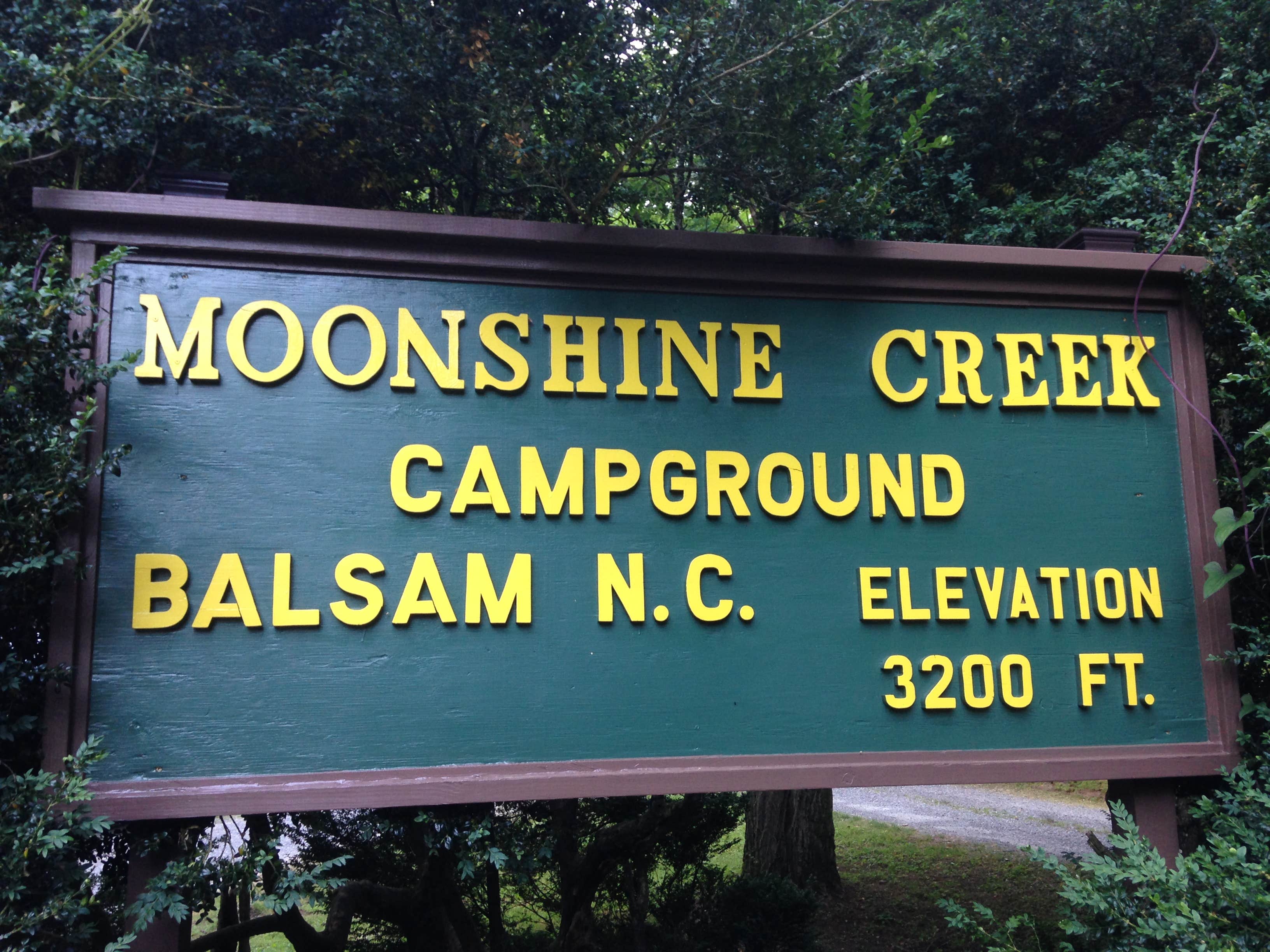 Camper submitted image from Moonshine Creek Campground - 5