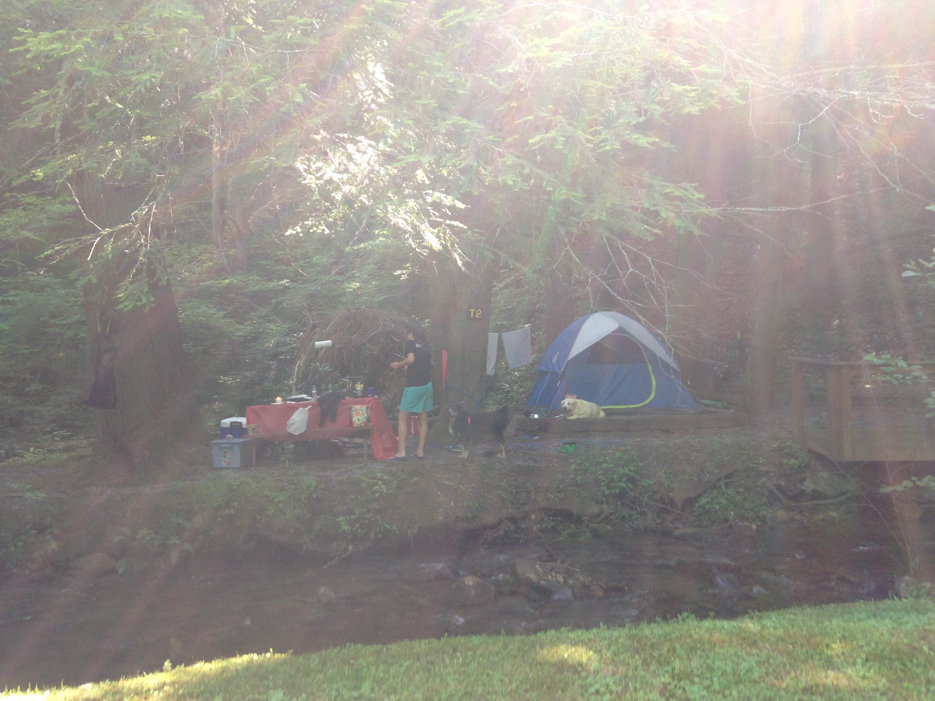 Fain H.'s photo at Moonshine Creek Campground near Cullowhee, NC