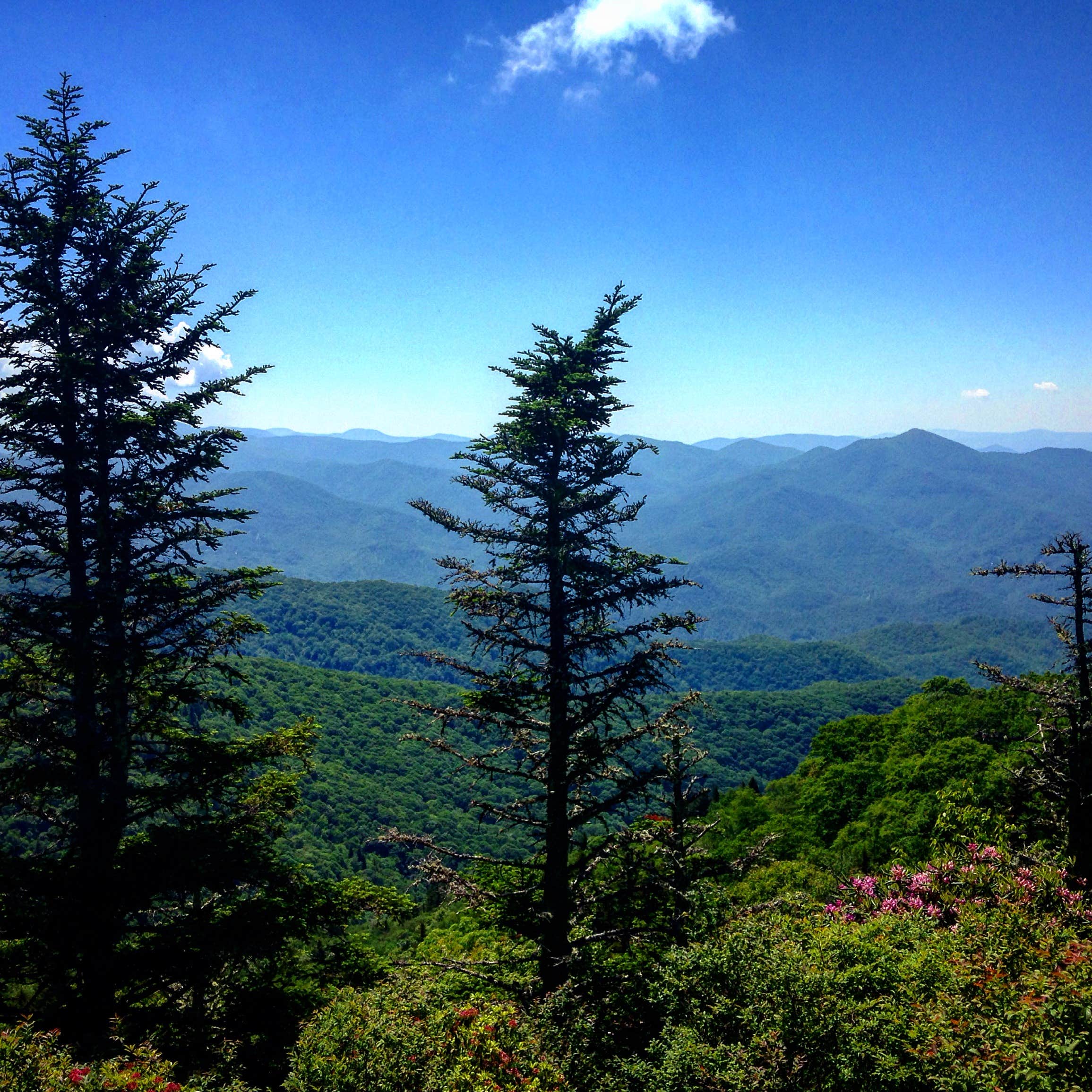 Camper-submitted photo at Moonshine Creek Campground near Waynesville, NC