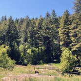 Review photo of Goodenough Creek Campground by Shani C., June 24, 2019