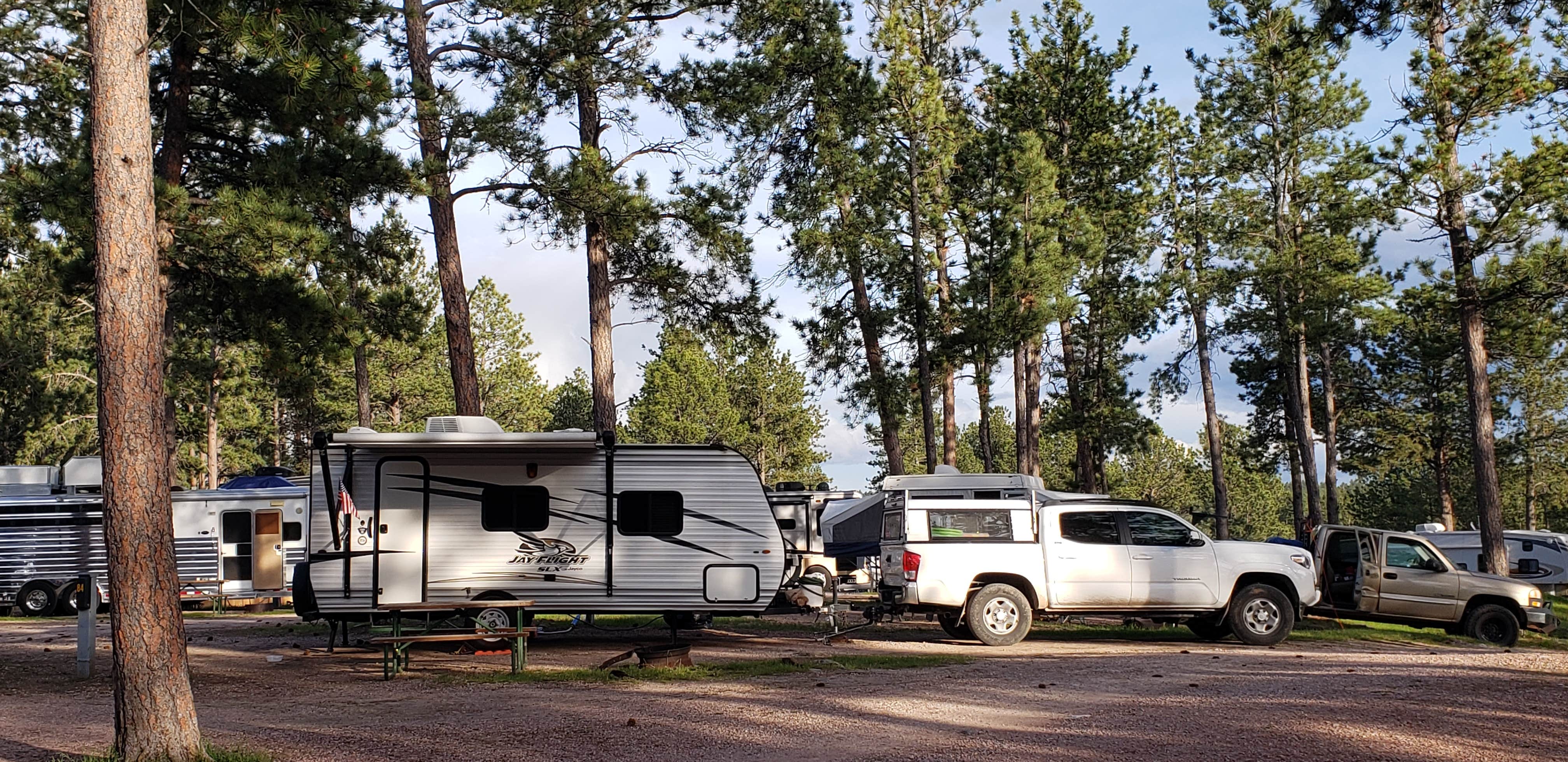 Camper submitted image from Custer-Mt. Rushmore KOA - 4