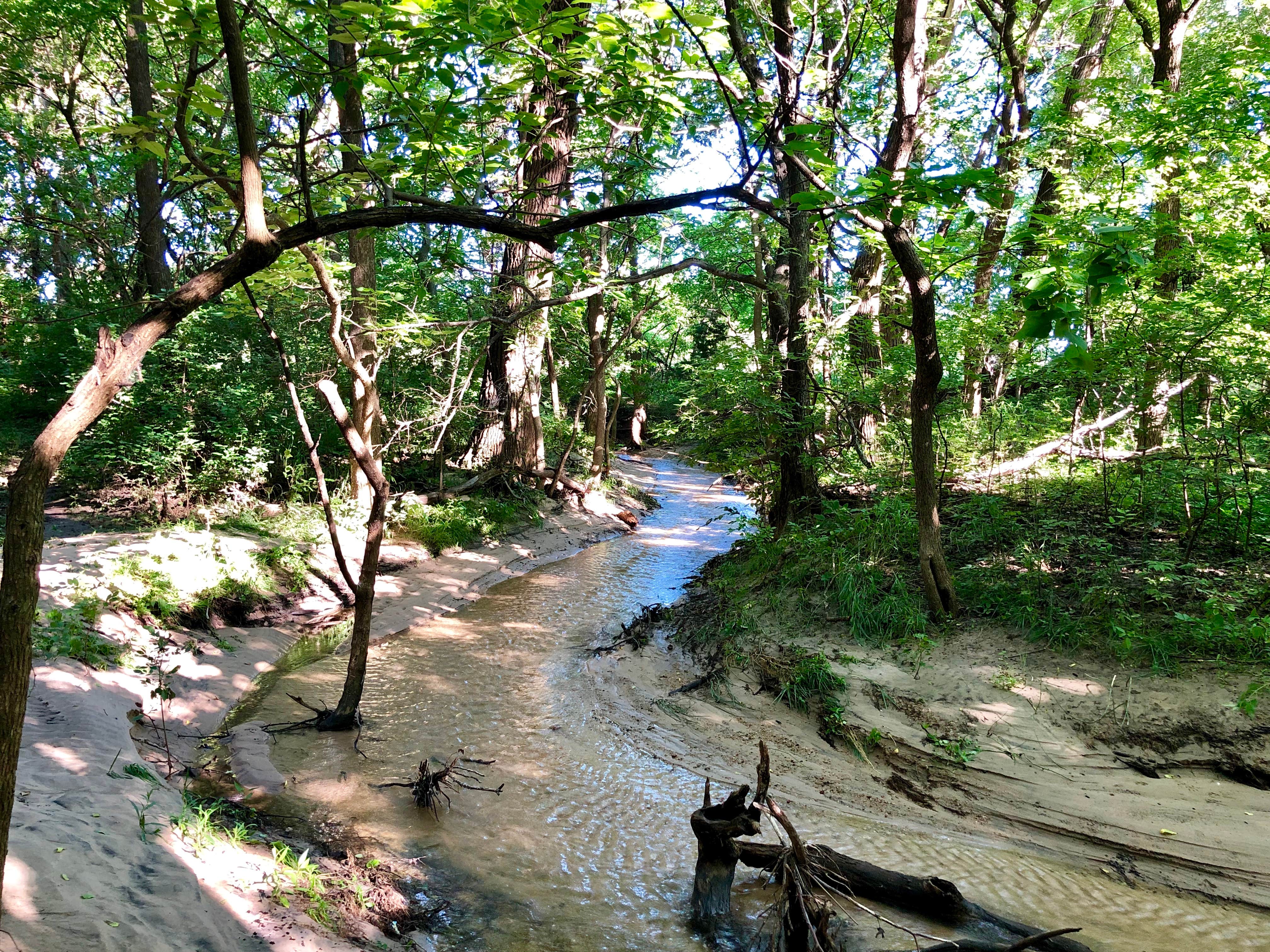 Camper submitted image from Cheney State Park Giefer Hill Campground - 2