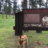 Review photo of Comanche Park by Art S., June 24, 2019