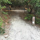 Review photo of False Cape State Park Campground by Katie M., June 24, 2019