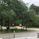 Review photo of False Cape State Park Campground by Katie M., June 24, 2019