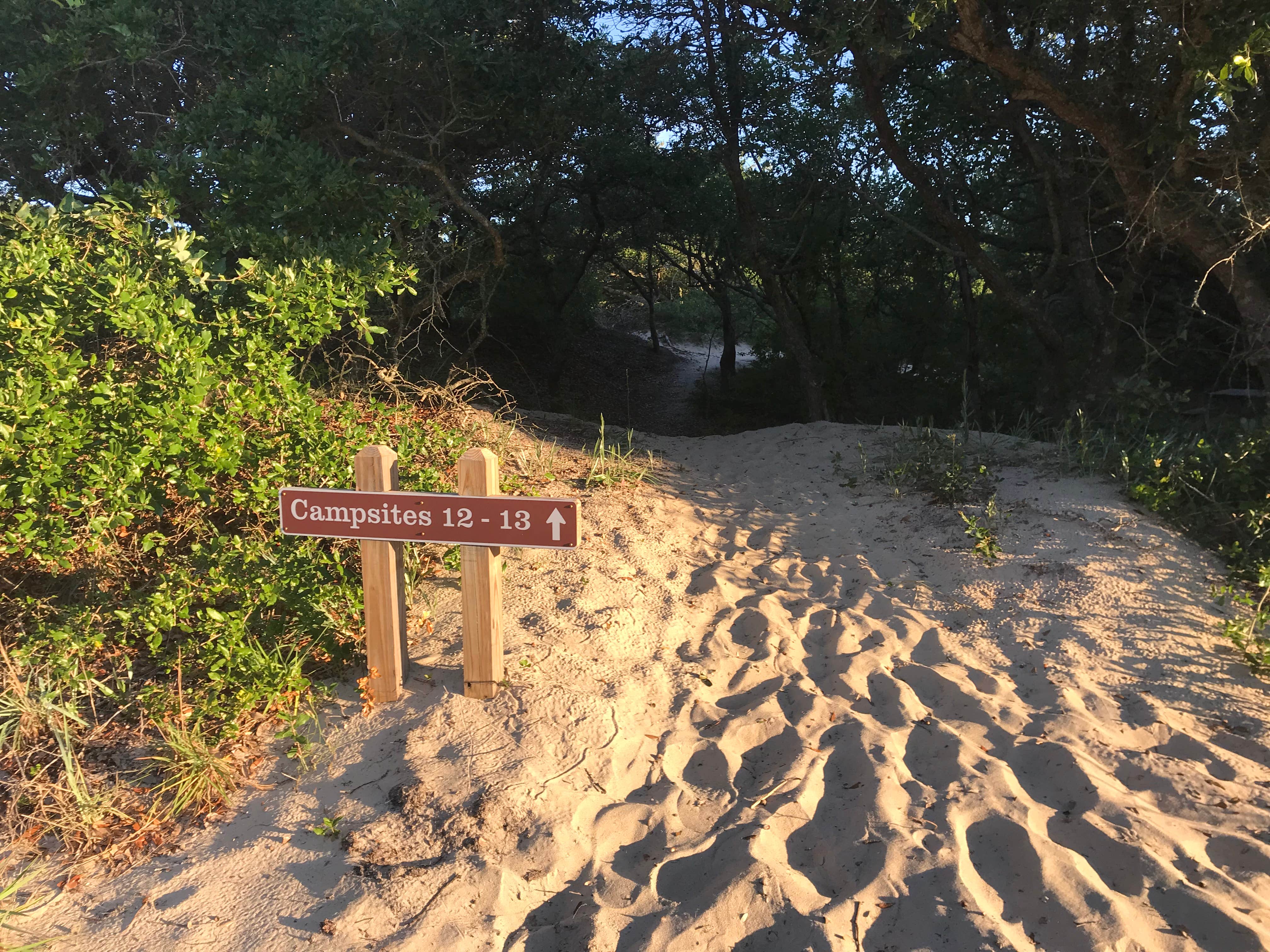 Camper-submitted photo at False Cape State Park Campground near Moyock, NC