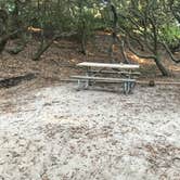 Review photo of False Cape State Park Campground by Katie M., June 24, 2019