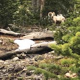 Review photo of Timberline Campground by Melanie  S., June 24, 2019