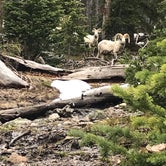Review photo of Timberline Campground by Melanie  S., June 24, 2019