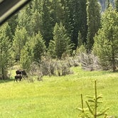 Review photo of Timberline Campground by Melanie  S., June 24, 2019
