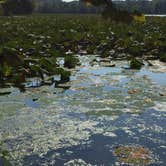 Review photo of Cowan Lake State Park Campground by Jessie W., June 24, 2019