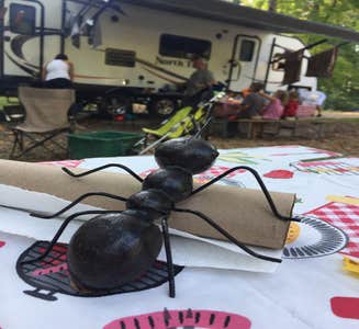 Camper-submitted photo from Dayton Metro Parks (Five Rivers Metroparks)