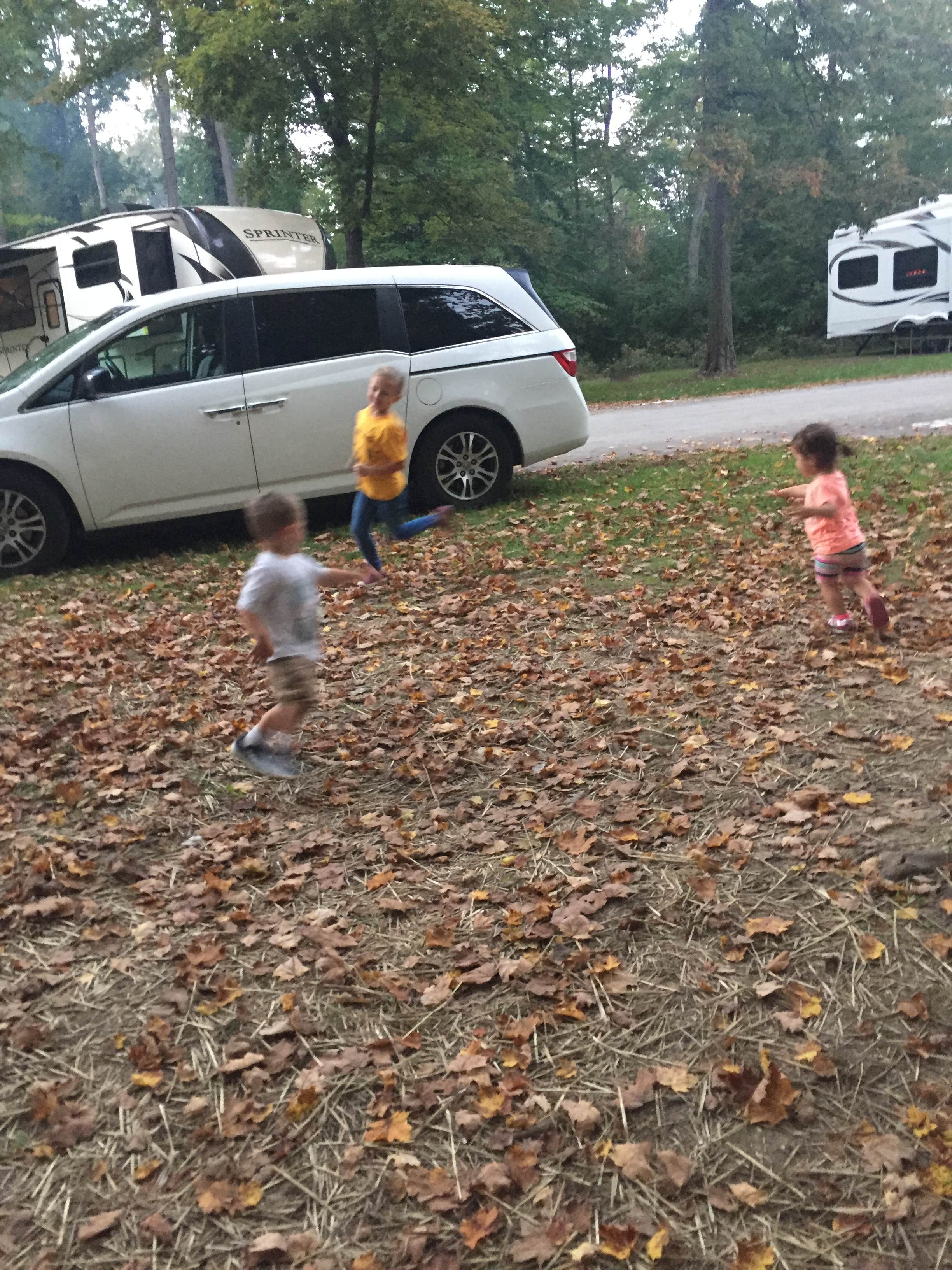 Camper submitted image from Cowan Lake State Park Campground - 4