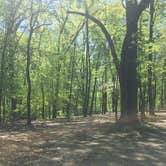 Review photo of Taylor Ridge Campground — Brown County State Park by Jessie W., June 24, 2019