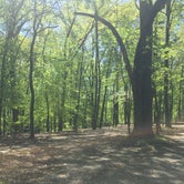 Review photo of Brown County State Park Campground by Jessie W., June 24, 2019