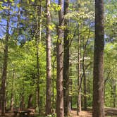 Review photo of Taylor Ridge Campground — Brown County State Park by Jessie W., June 24, 2019