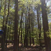 Review photo of Taylor Ridge Campground — Brown County State Park by Jessie W., June 24, 2019