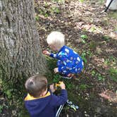 Review photo of Taylor Ridge Campground — Brown County State Park by Jessie W., June 24, 2019