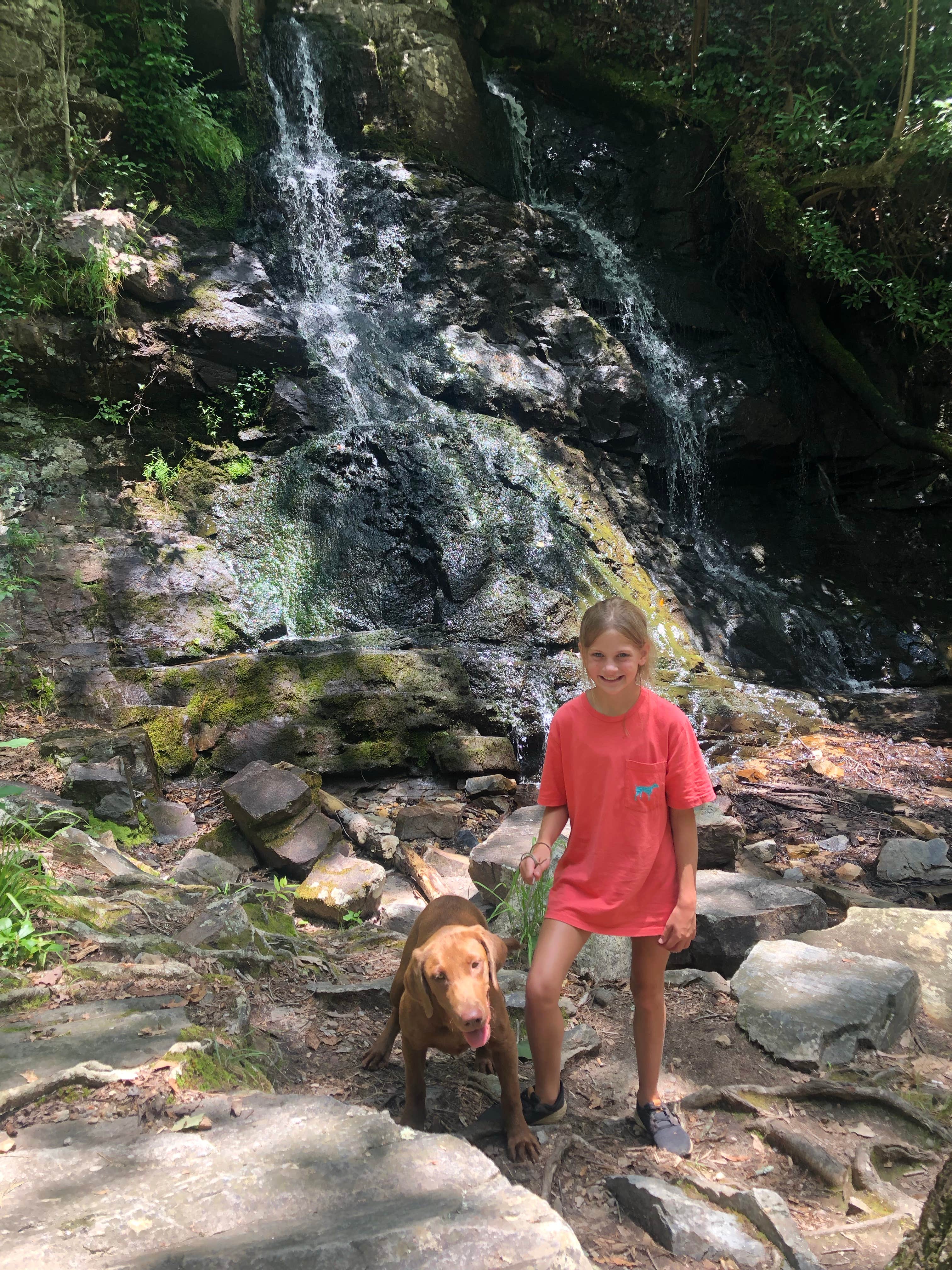 George’s  F.'s photo of camping with pets at Upper Improved Campground — Cheaha State Park near Jacksonville, AL