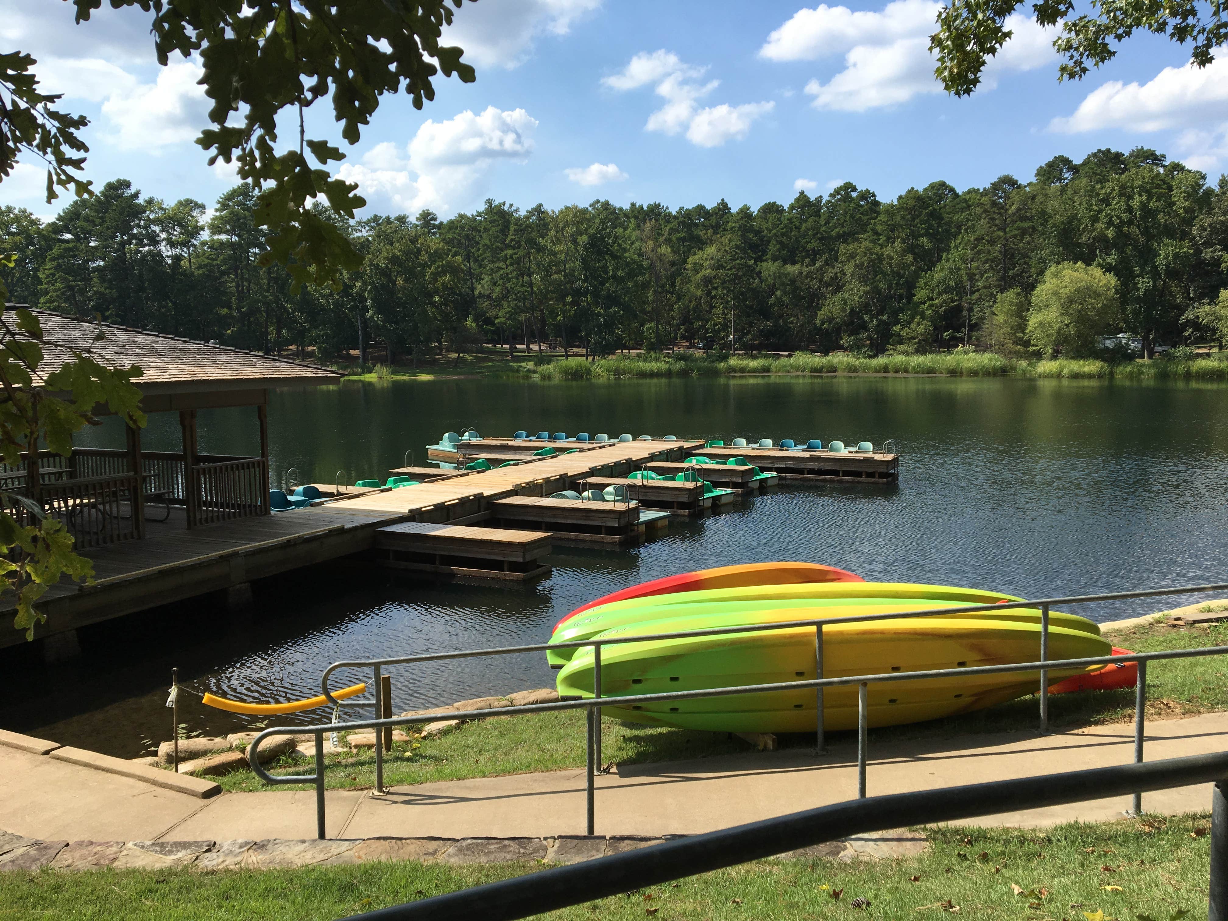 Camper submitted image from Tyler State Park Campground - 4