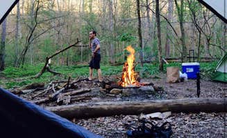 Ruby W.'s photo at Wildcat Hollow Hiking Trail Dispersed near New Lexington, OH