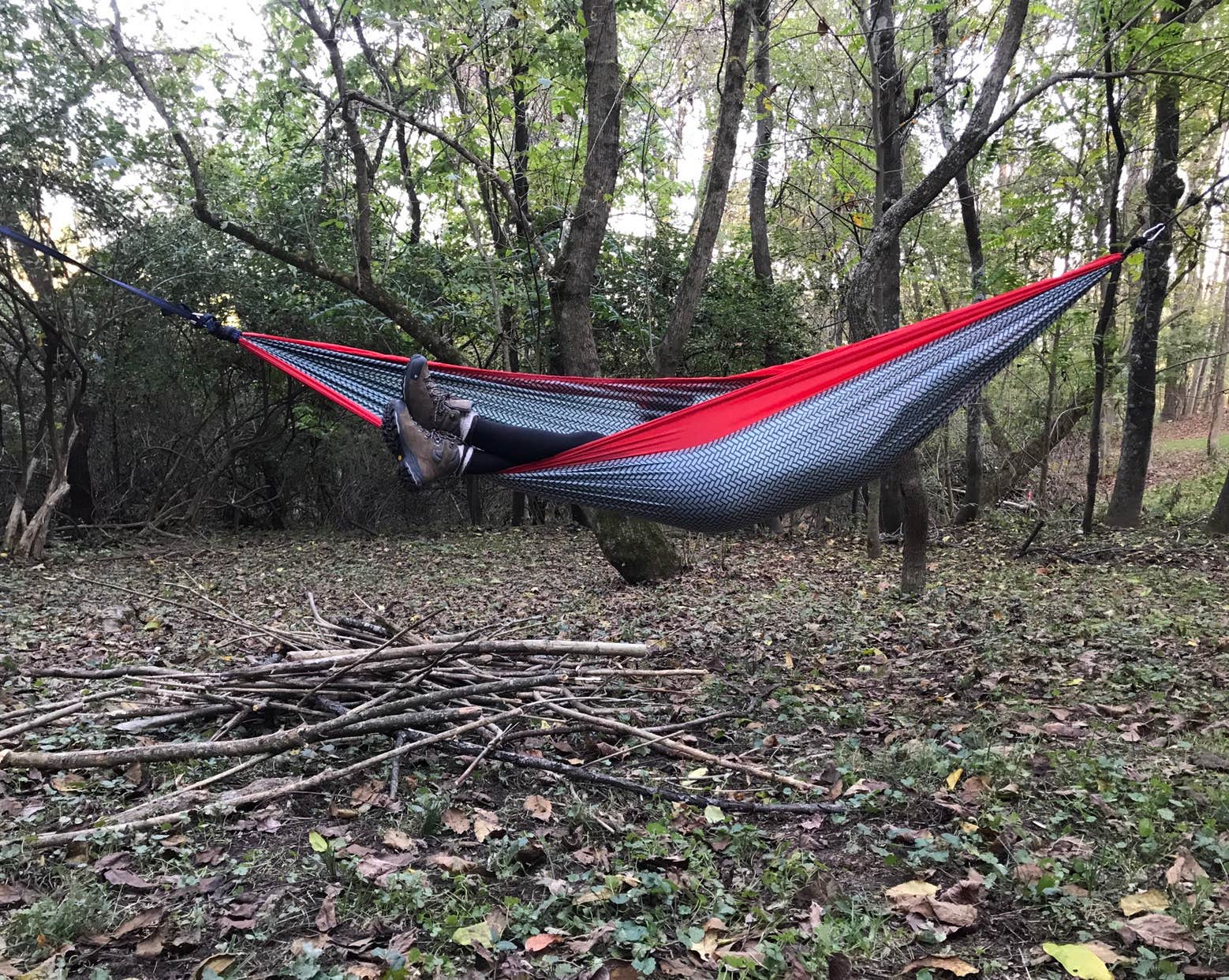 Camper submitted image from Strouds Run State Park Campground - 4