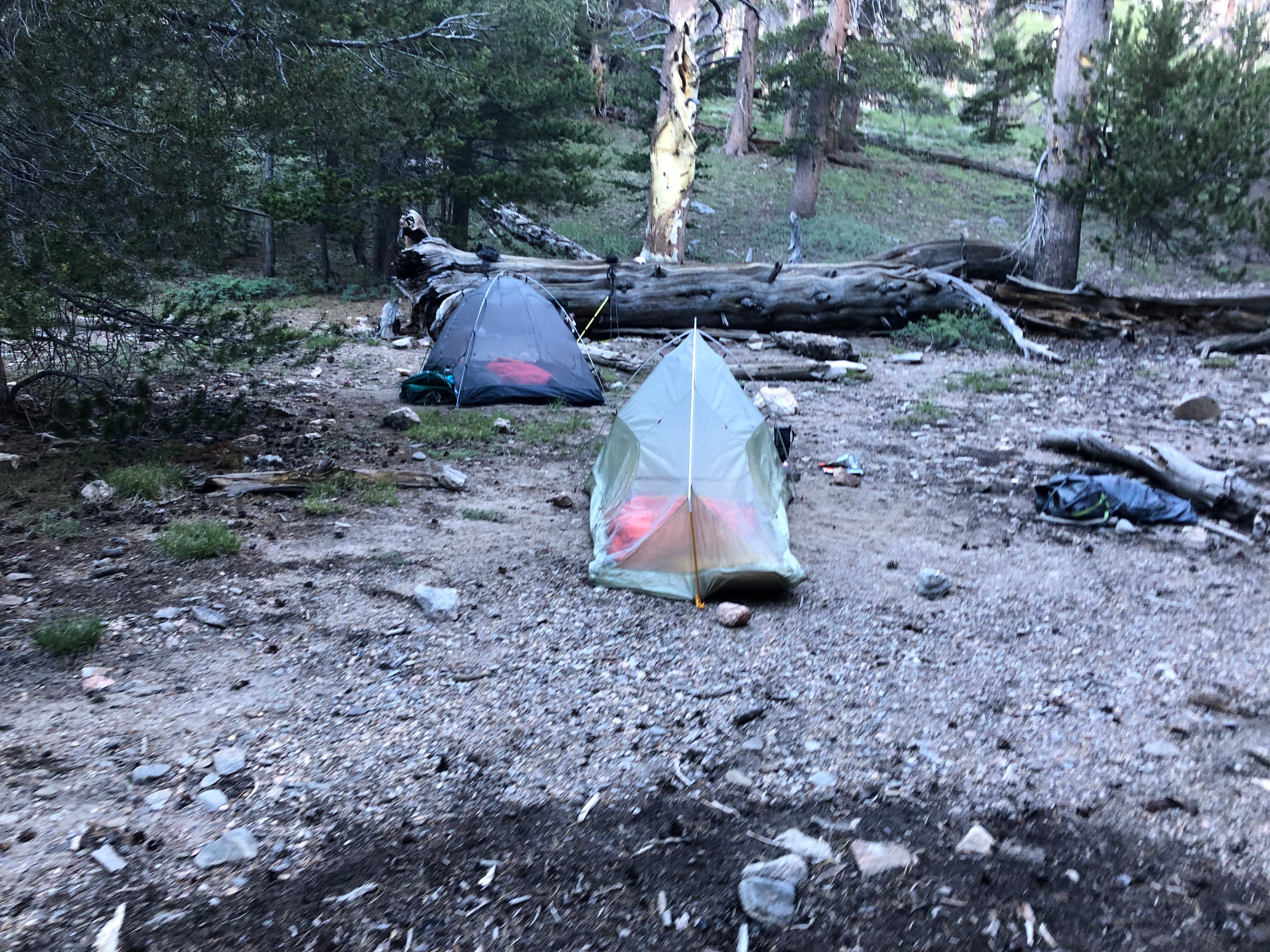Camper submitted image from Dry Lake Backpacking Campground - 4