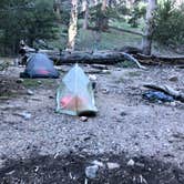 Review photo of Dry Lake Backpacking Campground by Brittany N., June 24, 2019